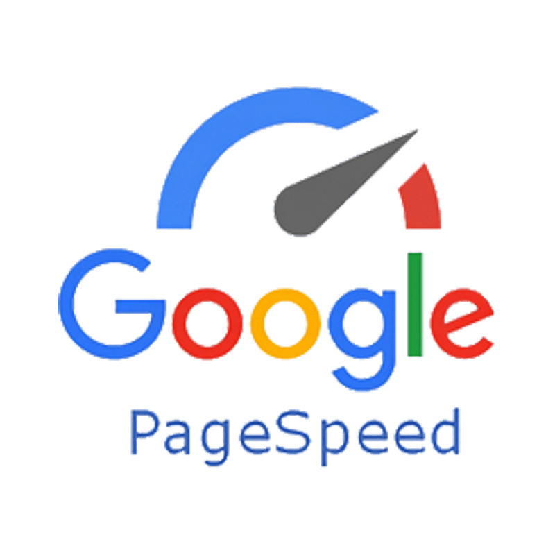 PAGE SPEED GOOGLE - PNG