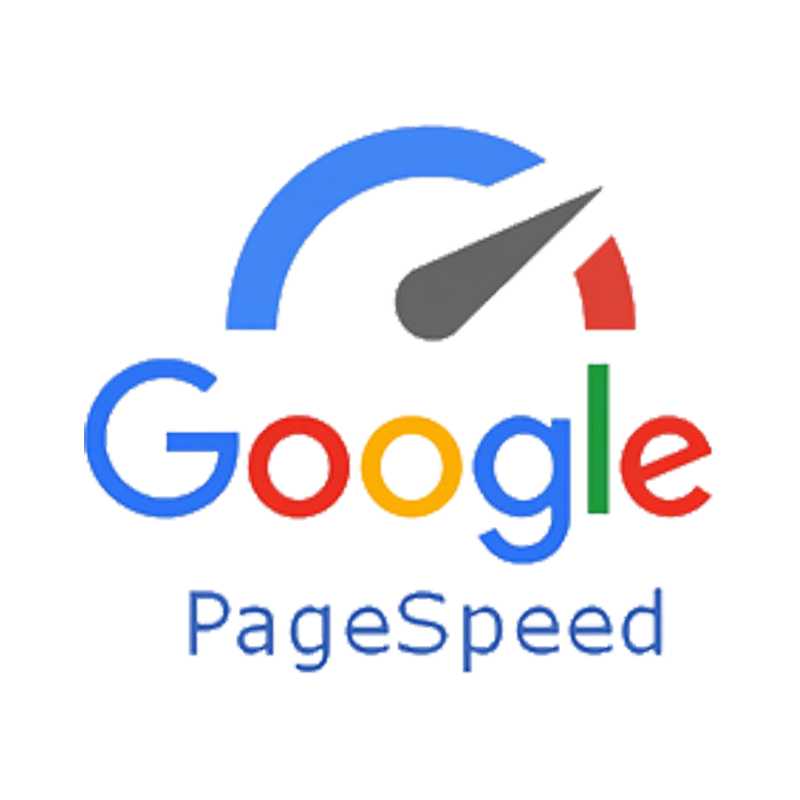 PAGE SPEED GOOGLE - PNG